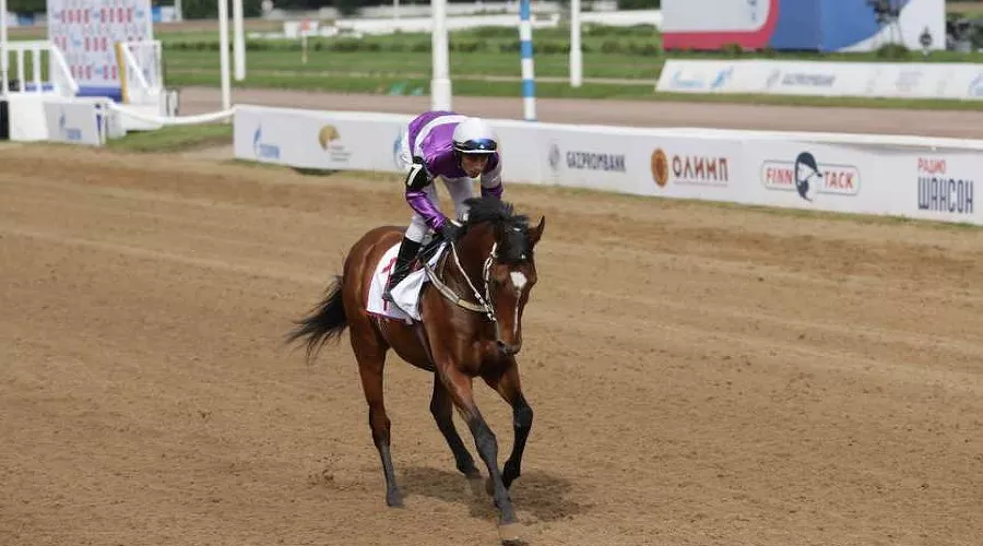 Мамир во время скачки на Центральном ипподроме в Москве &copy;&nbsp;Фото Артема Макеева