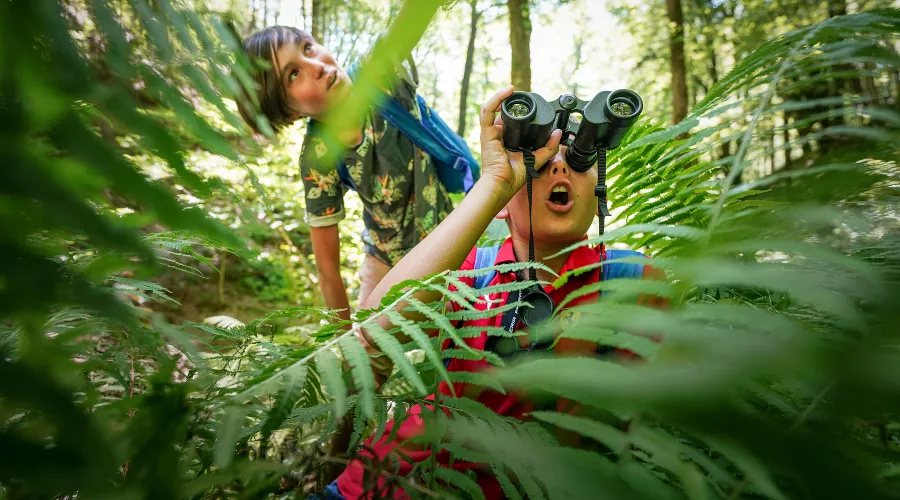  &copy;&nbsp;Фото предоставлено пресс-службой курорта &laquo;Роза Хутор&raquo;