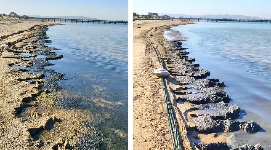  &copy;&nbsp;Коллаж из скриншотов фото из телеграм-канала &laquo;МАКОВОЗОВЫ&raquo;