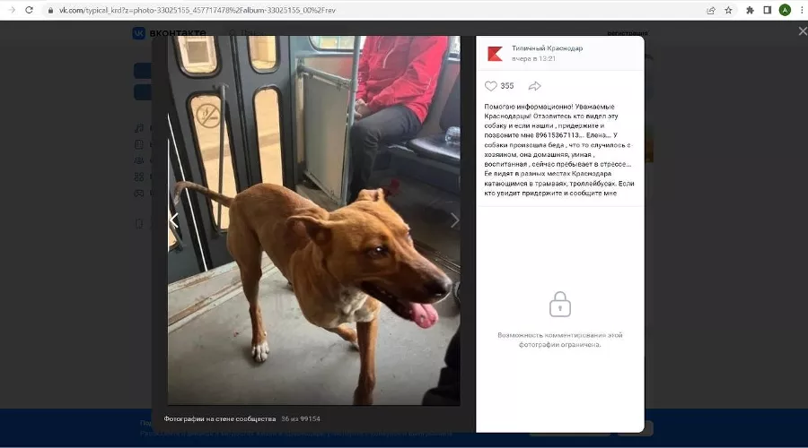  &copy;&nbsp;Скриншот экрана из сообщества ВКонтакте &laquo;Типичный Краснодар&raquo;