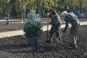 Ремонт парка и дома культуры Тбилисском районе &copy;&nbsp;Фото пресс-службы Тбилисского района