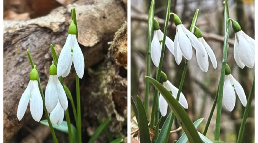  &copy;&nbsp;Скриншот из соцсетей Натальи Елагиной https://vk.com/id158667079