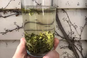  &copy;&nbsp;Фото Андрея Севоплясова