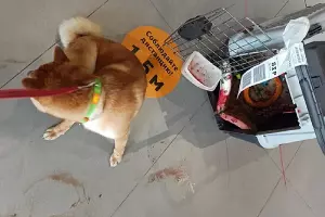  &copy;&nbsp;Фото из аккаунта Kristina Ilicheva, instagram.com/kristina_il/