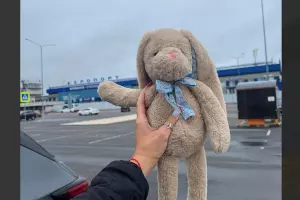 &copy;&nbsp;Скриншот из телеграм-канала &laquo;Аэропорт Сочи&raquo; https://t.me/aeroaer/207
