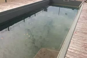  &copy;&nbsp;Фото пресс-службы администрации Краснодара