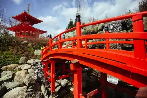 Японский сад &copy;&nbsp;Фото Антона Быкова, Юга.ру