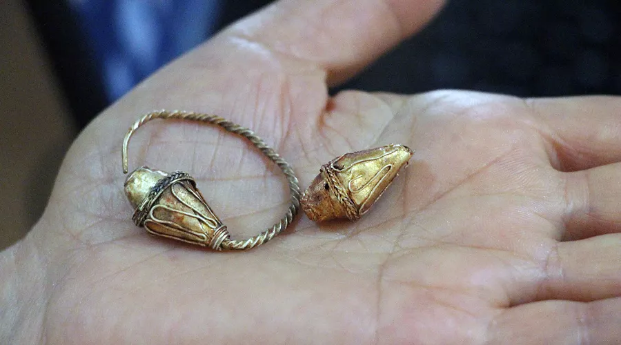  &copy;&nbsp;Фото пресс-службы администрации Усть-Лабинского района