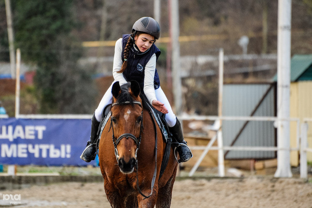 Конный спорт сочи. Соревнования по конкуру. Конный спорт сочи. Конное троеборье. Конюшня светлана в дагомысе.