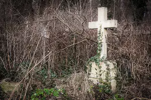  &copy;&nbsp;Фото Елены Синеок, Юга.ру