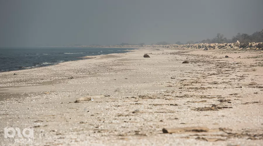  &copy;&nbsp;Фото Елены Синеок, Юга.ру