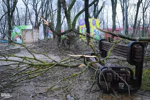 Ликвидация последствий ледяного дождя в Краснодаре &copy;&nbsp;Елена Синеок, ЮГА.ру