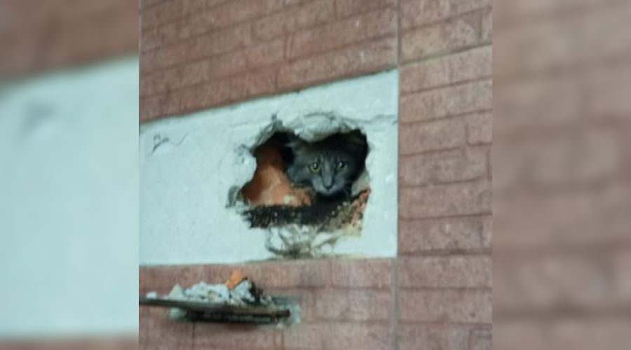  © Фото Алексея Одерова instagram.com/alekseioderov