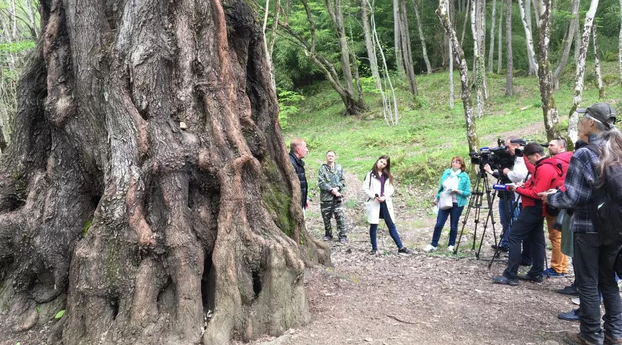  &copy;&nbsp;Фото пресс-службы Сочинского нацпарка