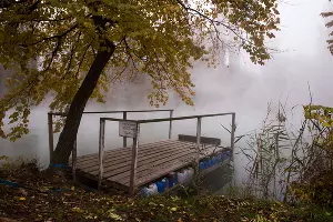Туман в парке «Солнечный остров» &copy;&nbsp;Фото Елены Синеок, Юга.ру