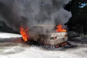  &copy;&nbsp;Телеграм-канал "Телетайп Краснодара", T.me/tipichkras