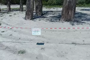  &copy;&nbsp;Фото пресс-службы министерства природных ресурсов Краснодарского Края