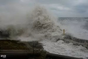  &copy;&nbsp;Фото Нины Зотиной, Юга.ру