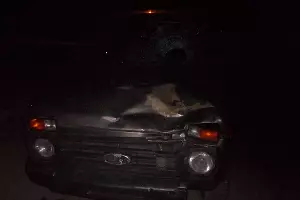  &copy;&nbsp;Фото отдела пропаганды УГИБДД ГУ МВД по Краснодарскому краю