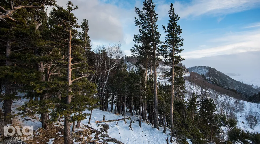  &copy;&nbsp;Фото Елены Синеок, Юга.ру