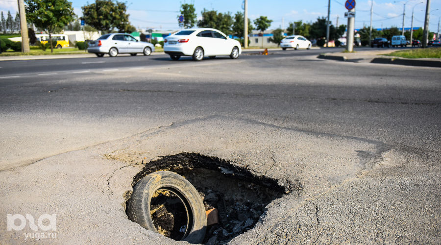  © Фото Елены Синеок, Юга.ру