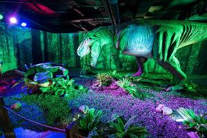  © Фото пресс-службы «Сочи Парка»