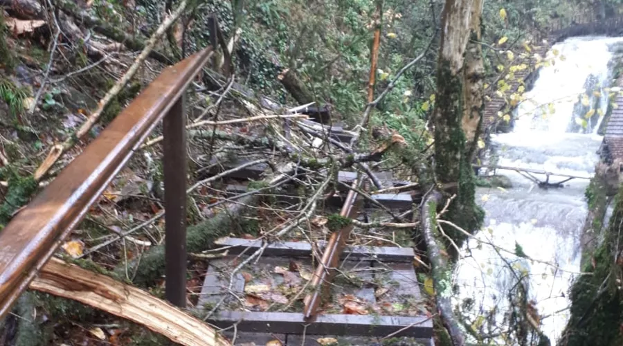  &copy;&nbsp;Фото с сайта npsochi.ru