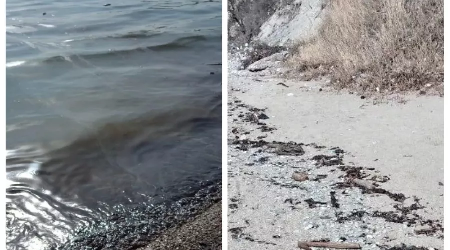  &copy;&nbsp;Скриншот из телеграм-канала &laquo;Новороссийский Рабочий&raquo; https://t.me/novorab_official/73271