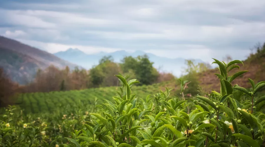  &copy;&nbsp;Фото lanakray, freepik.com