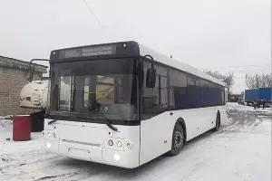  &copy;&nbsp;Скриншот предложения на &laquo;Авито&raquo;, опубликованный в телеграм-канале &laquo;Транспортная инициатива&raquo;, https://tmtr.me/trol_pogrom_krd/1352