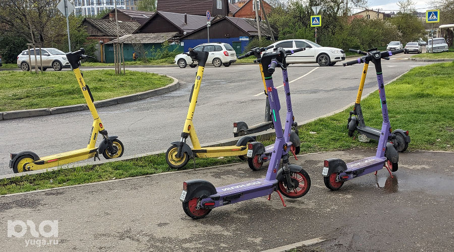  © Фото Александры Прохоренковой-Аксеновой, Юга.ру