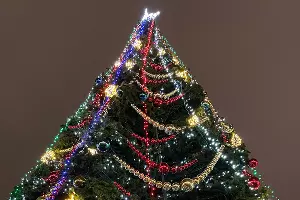  &copy;&nbsp;Фото Леси Шубиной, Юга.ру