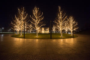 Парк «Краснодар» &copy;&nbsp;Фото Елены Синеок, Юга.ру