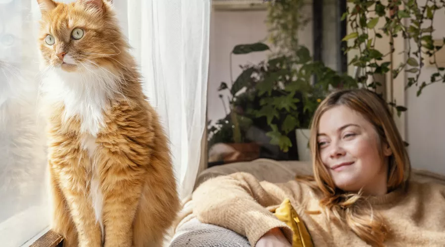  &copy;&nbsp;фото freepik, сайт freepik.com