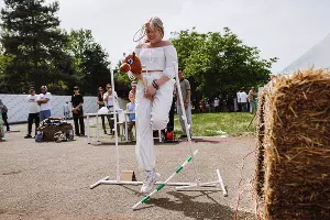  &copy;&nbsp;Фото Фёдора Обмайкина предоставлено пресс-службой Краснодарского ипподрома