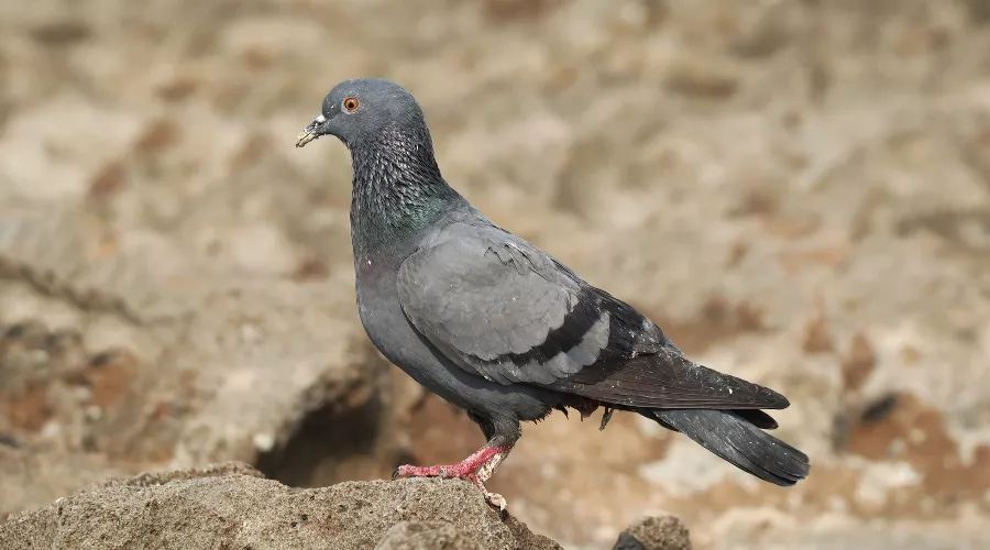  &copy;&nbsp;Фото пользователя wirestock с сайта freepik.com