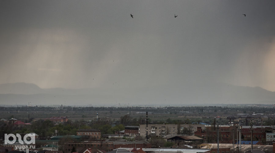 Дождь в Краснодаре &copy;&nbsp;Фото Елены Синеок, Юга.ру