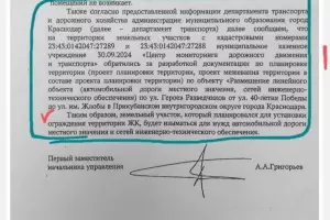  &copy;&nbsp;Скриншот из телеграм-канала &laquo;Против дороги ЖК &laquo;Панорама&raquo;