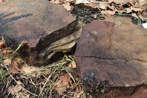 Материал основания средневекового сигнального пункта © Фото пресс-службы субтропического научного центра Российской академии наук