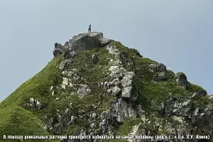  &copy;&nbsp;Фото пресс-службы нацпарка Сочи