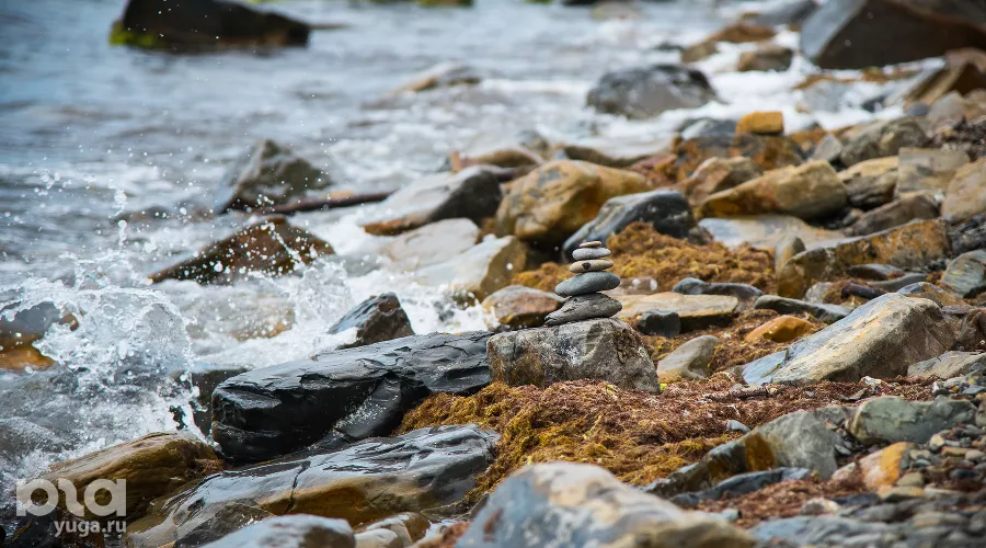  &copy;&nbsp;Фото Елены Синеок, Юга.ру