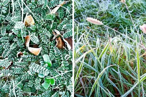  &copy;&nbsp;Скриншоты фотографий из телеграм-канала &laquo;Абрау-Дюрсо в фотографии&raquo;