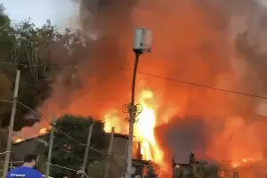  &copy;&nbsp;Скриншот видео из телеграм-канала &laquo;Сочи онлайн&raquo;, t.me/gorodsochi