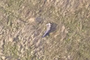 Кадры для оценки примерного масштаба. Все люди на фото — поисковики &laquo;Лиза Алерт&raquo; &copy;&nbsp;Фото с сайта watcher.lizaalert.ru