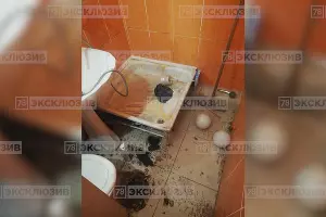  &copy;&nbsp;Фото из телеграм-канала 78.ru, https://t.me/good78news/