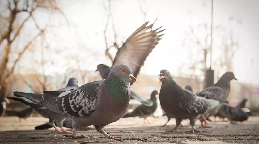  &copy;&nbsp;Фото Алены Живцовой, Юга.ру