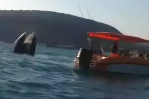  &copy;&nbsp;Кадр из видео группы ВКонтакте &laquo;RU_CHP: Первый по происшествиям&raquo;, vk.com/ru_chp