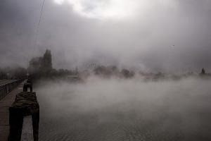 Туман в парке «Солнечный остров» © Фото Елены Синеок, Юга.ру