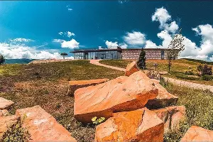  &copy;&nbsp;Фото пресс-службы &laquo;Виноградников Гай Кодзора&raquo;