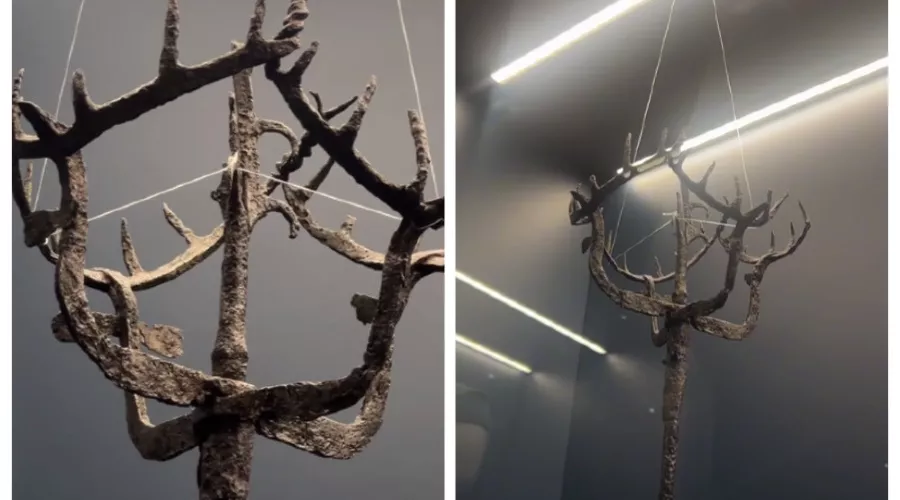  &copy;&nbsp;Скриншот из телеграм-канала краснодарского музея имени Фелицына